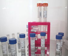 引進美國生物工程前沿技術(shù)，打造高科技生物制品研發(fā)新生態(tài)